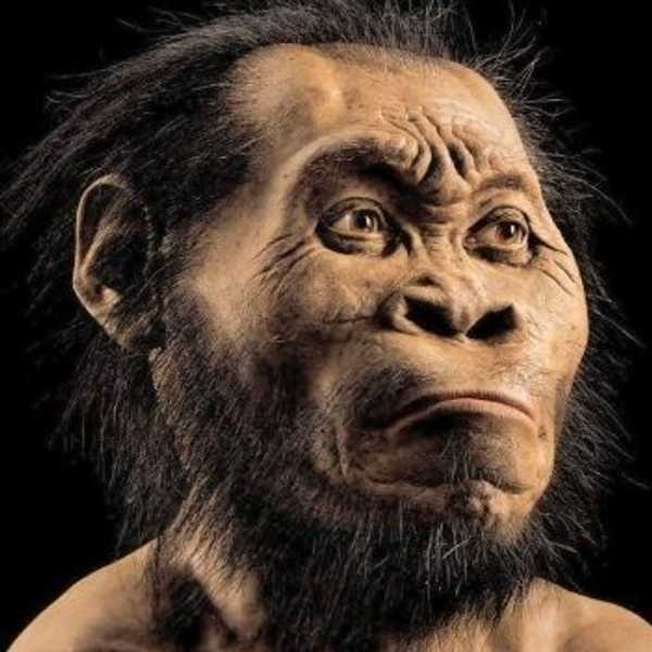 Why Religion And Evolution Can Coexist