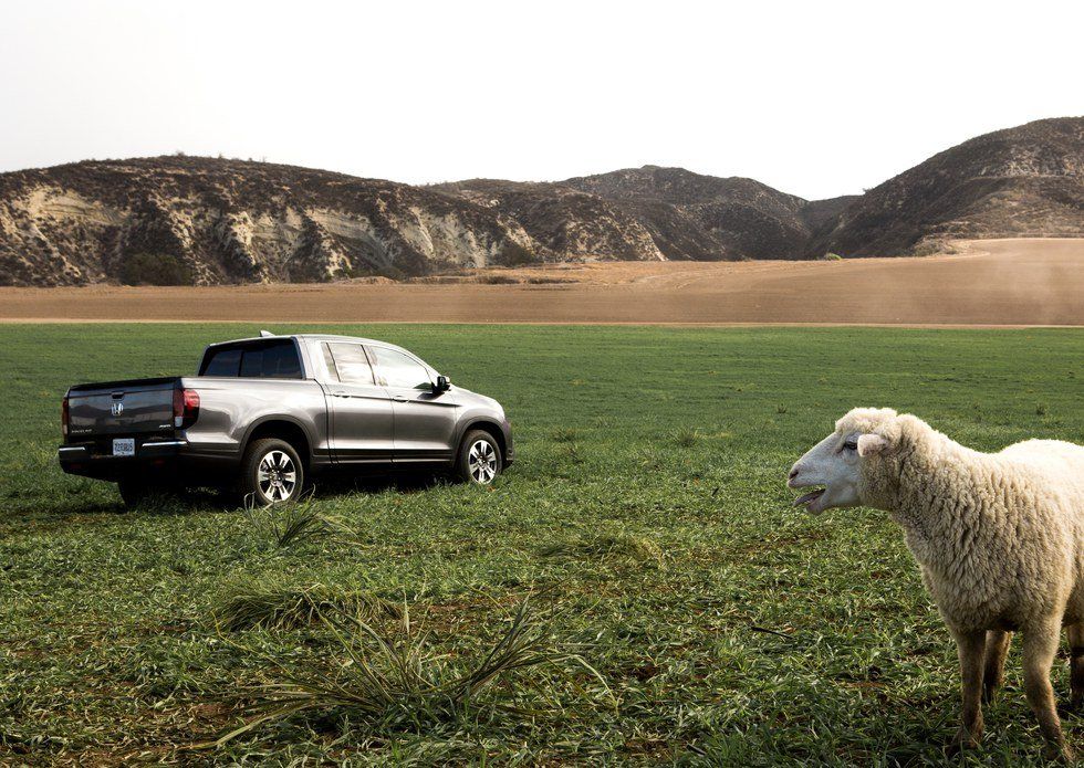 Highlights From The 2016 Super Bowl Commercials