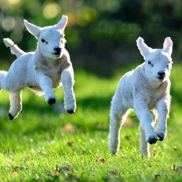 Why Spring is Better than Winter