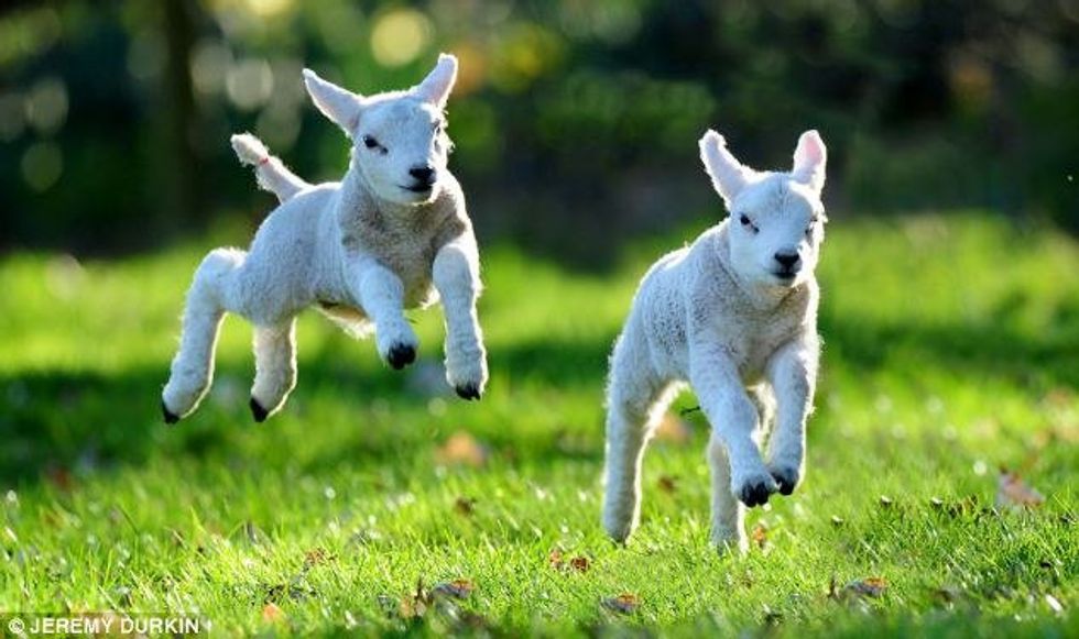 Why Spring is Better than Winter