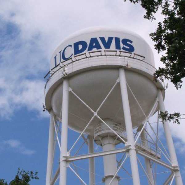 58 Weird Things That UC Davis Students Know To Be True