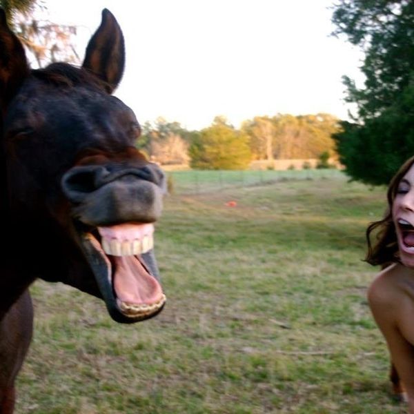 When You're Actually A Crazy Horse Girl