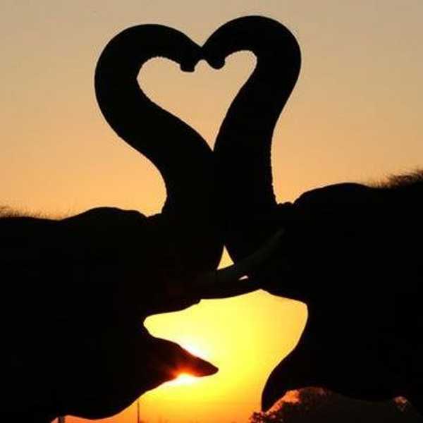 We Should Celebrate Love Every Day, Not Just Valentine's Day