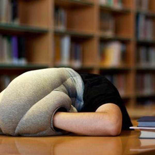 11 Things Every Science Major Can Relate To