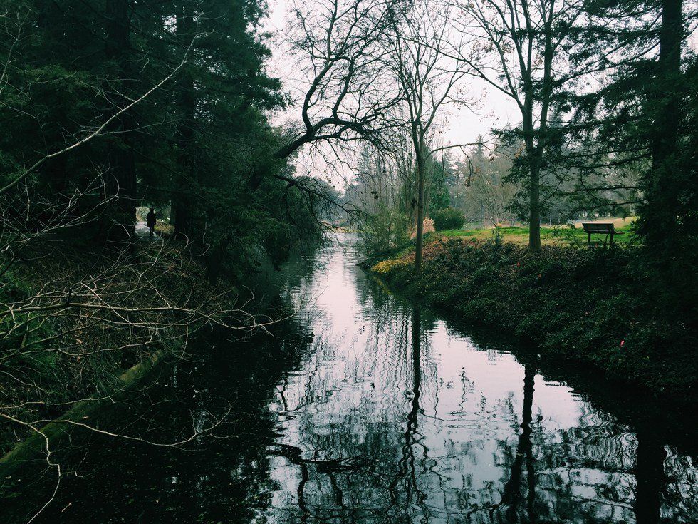 7 Ways To Have A Great Day At UC Davis