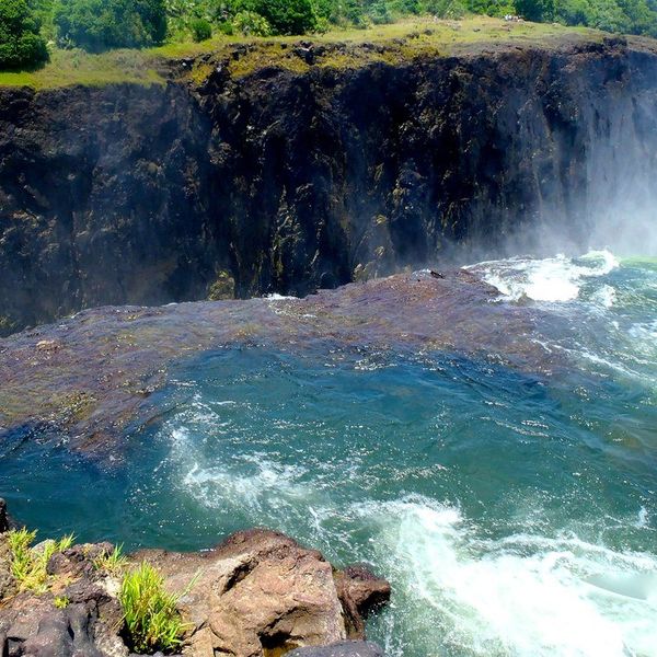 15 Random Things I Learned In January