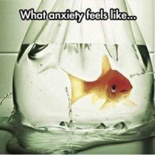 What Anxiety Feels Like