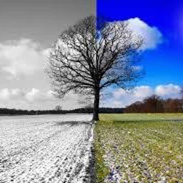 How To Survive The Rest Of Winter