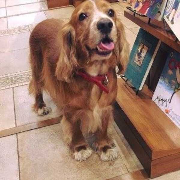 An Ode To The Independent Bookstore