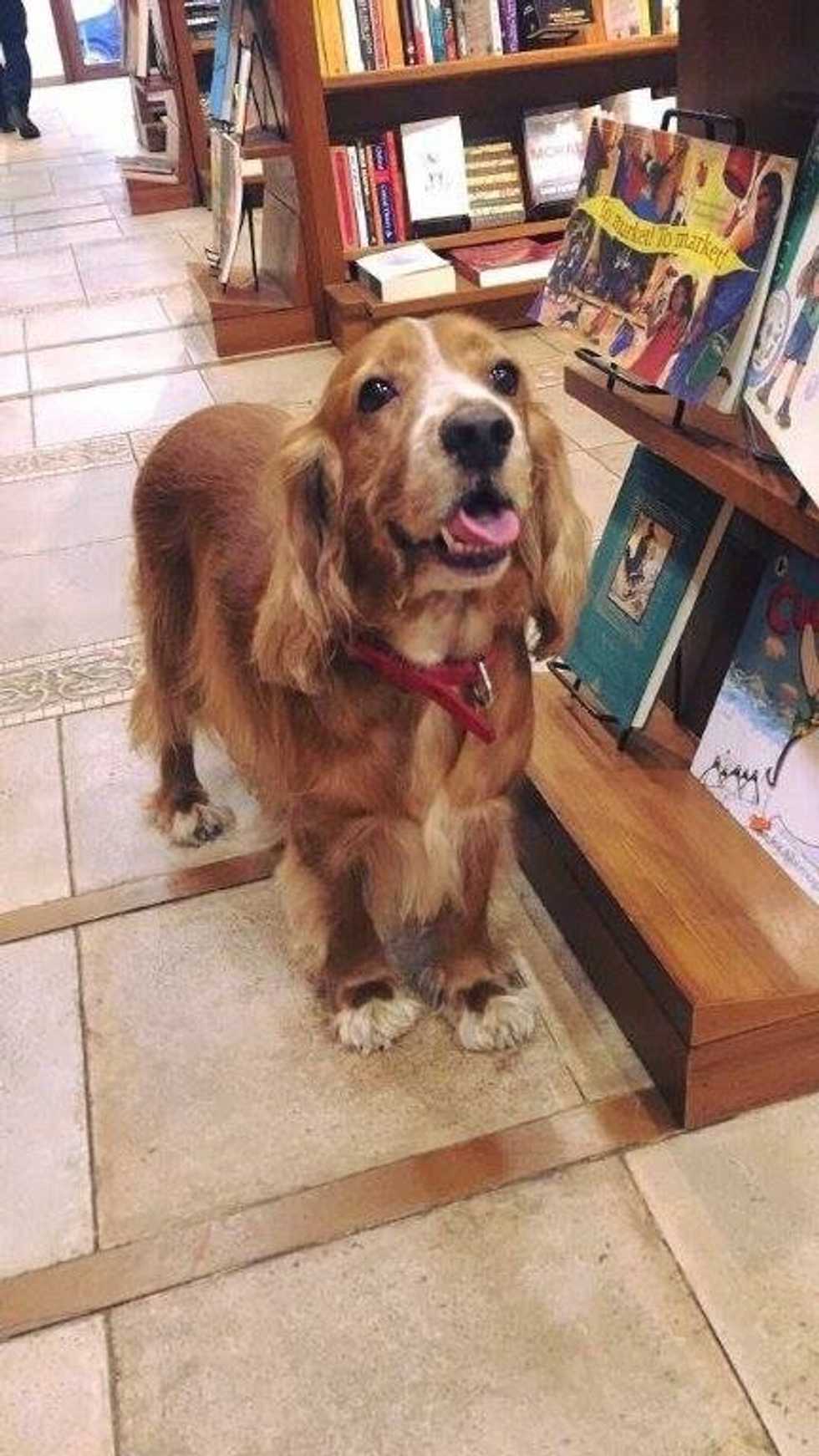 An Ode To The Independent Bookstore