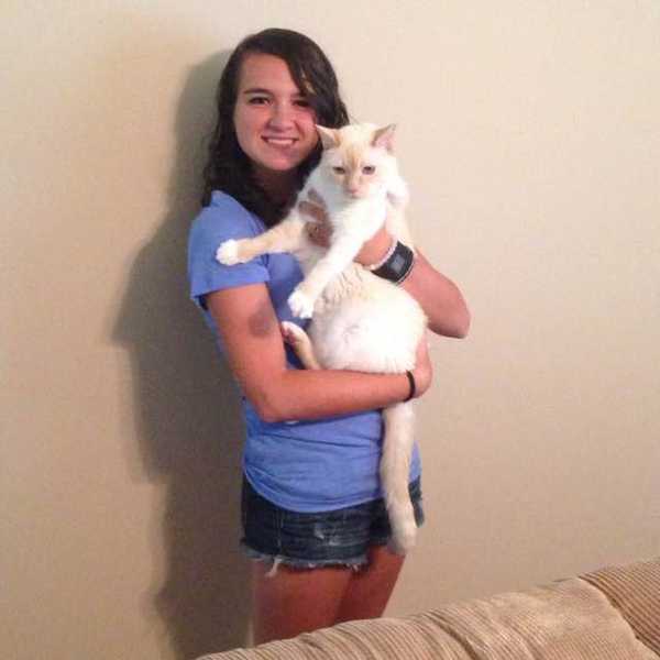 Open Letter To Cat Lovers