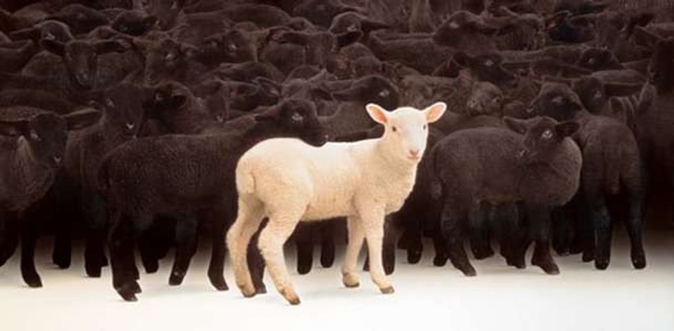 Society Is Telling Us Who We Should Be: An Introduction