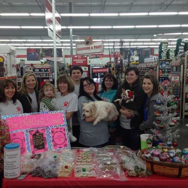 If You're Looking To Bring A Pet Into Your Life: Adopt, Don't Shop