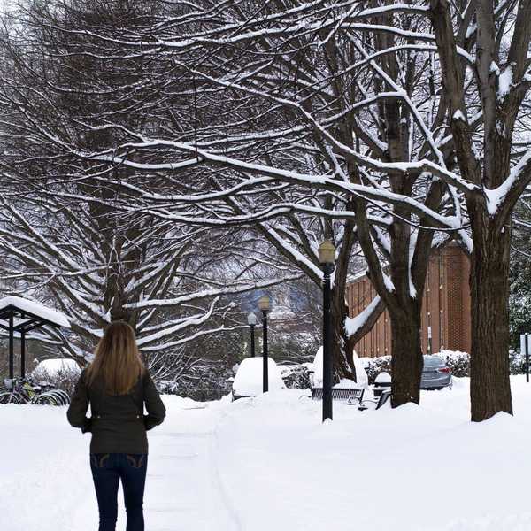 We're Like Snowflakes
