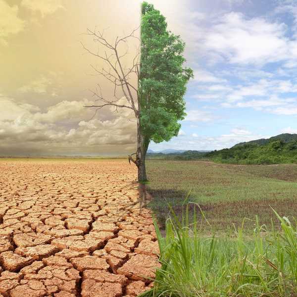 A Discussion Of Climate Change From The Perspective Of A College Student