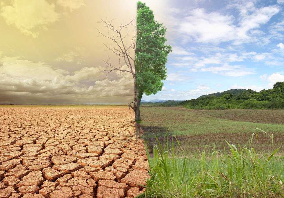 A Discussion Of Climate Change From The Perspective Of A College Student