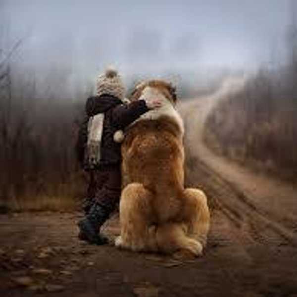 The 5 Life Lessons We Have To Thank Our Dogs For