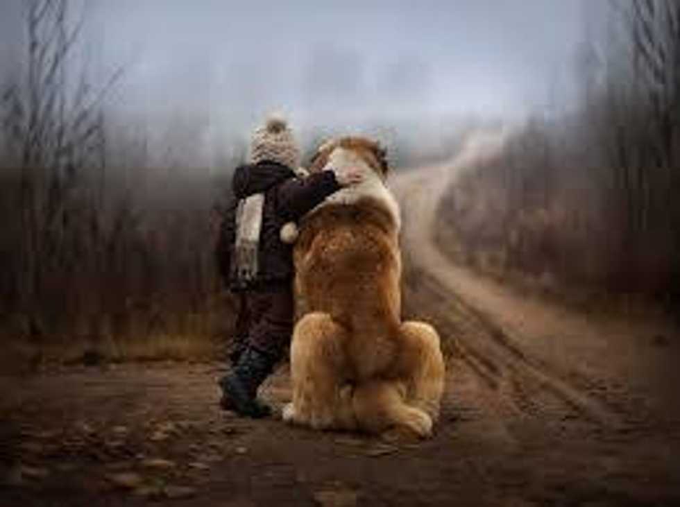 The 5 Life Lessons We Have To Thank Our Dogs For