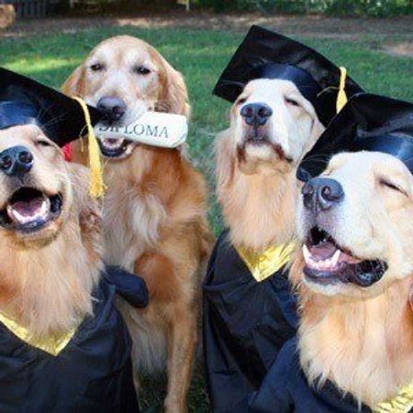 5 Reasons Why Everyone Should Have A Dog In College