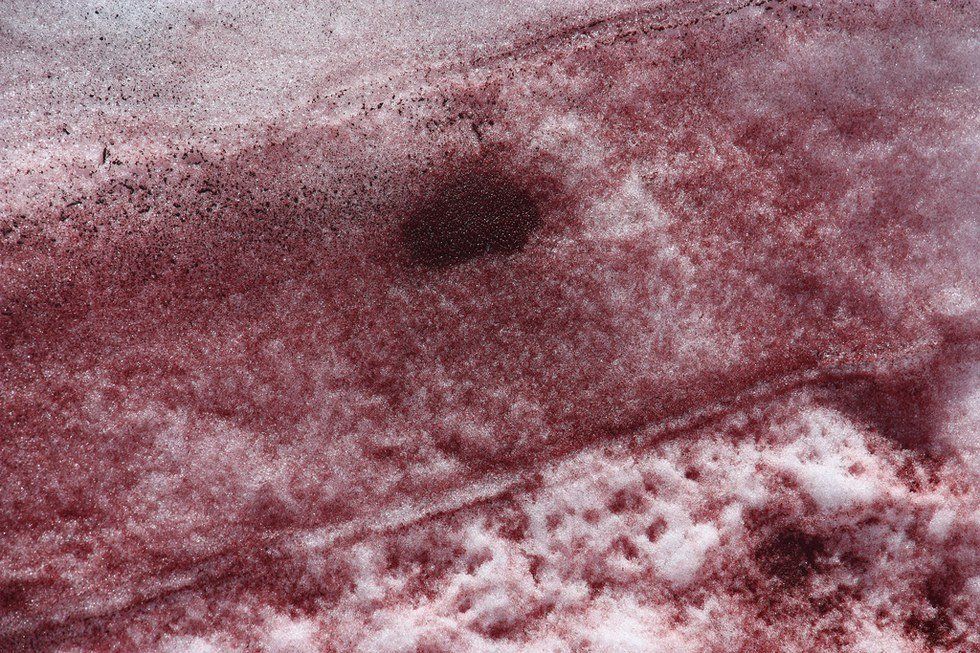 Snow That's Far From White