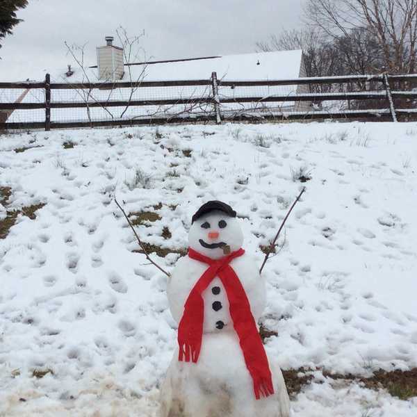 10 Reasons Why Southerners Don't Do Winter