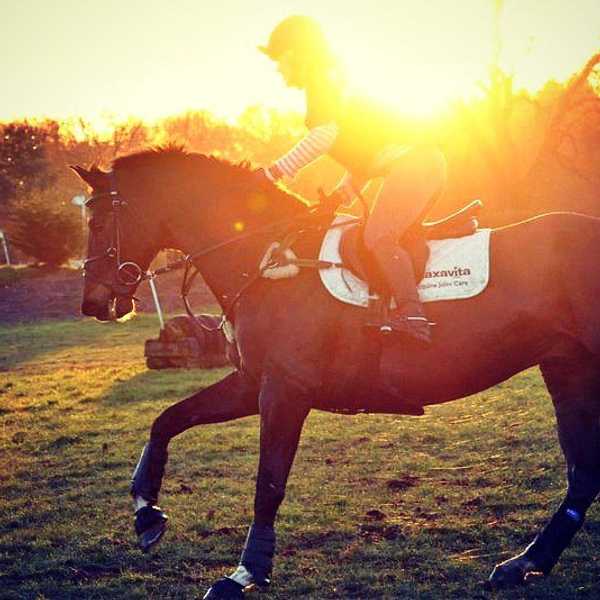 8 Things Horseback Riders Are Sick of Hearing