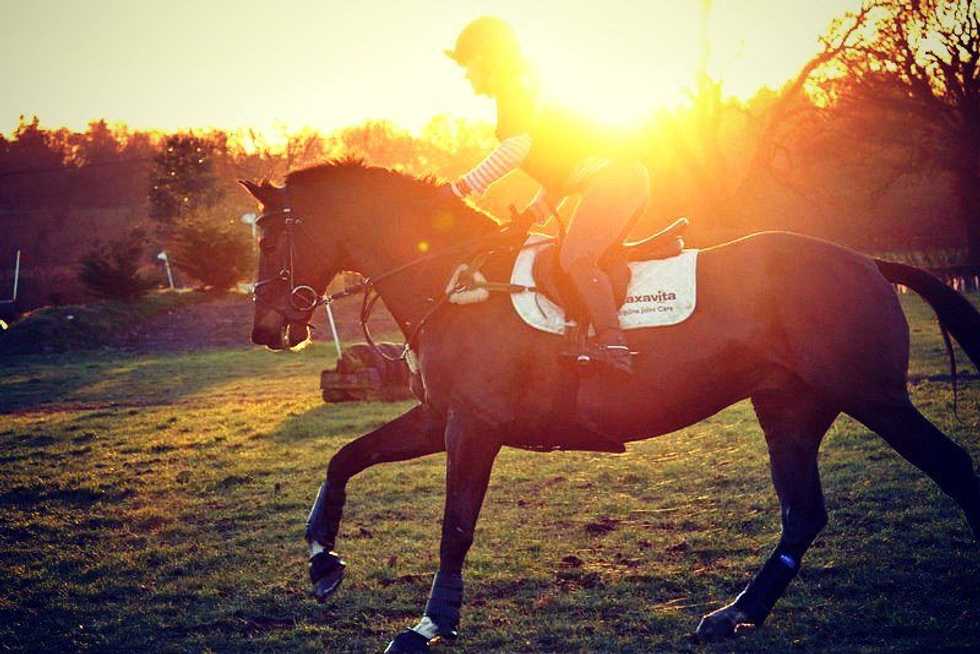 8 Things Horseback Riders Are Sick of Hearing