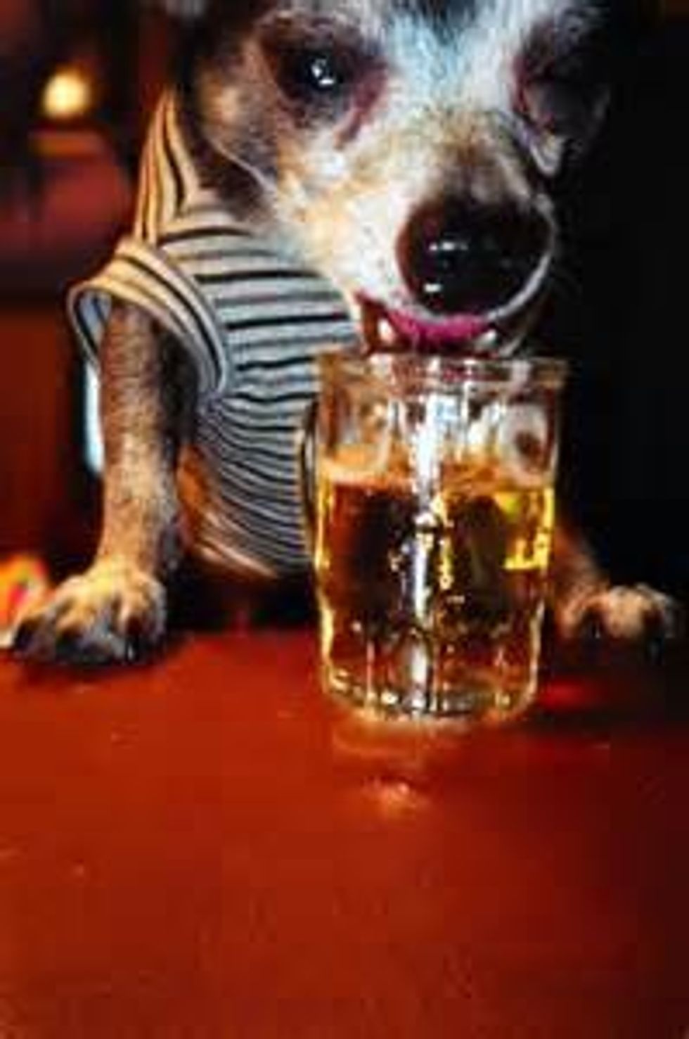 Thoughts At A Party Where You're Not Sure You Should Be