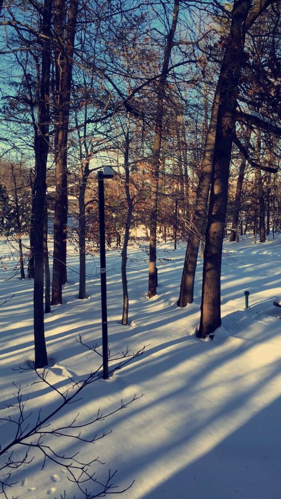 Movie Reviews: Snow Apocalypse Addition