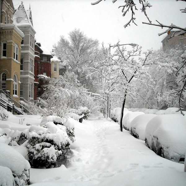 Why D.C. Needs To Crack Down On Its Snow Handling