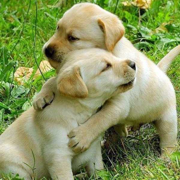 The Power Of Three Simple Words: 'I Forgive You'