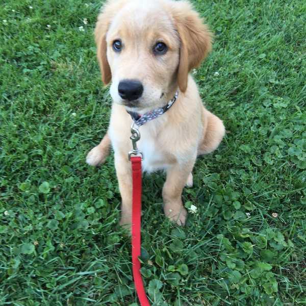 13 Life Snapshots Of How A Girl Falls In Love...With Her Dog