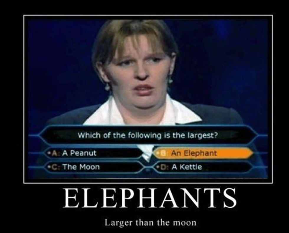 20 People That Are Having a Worse Day Than You