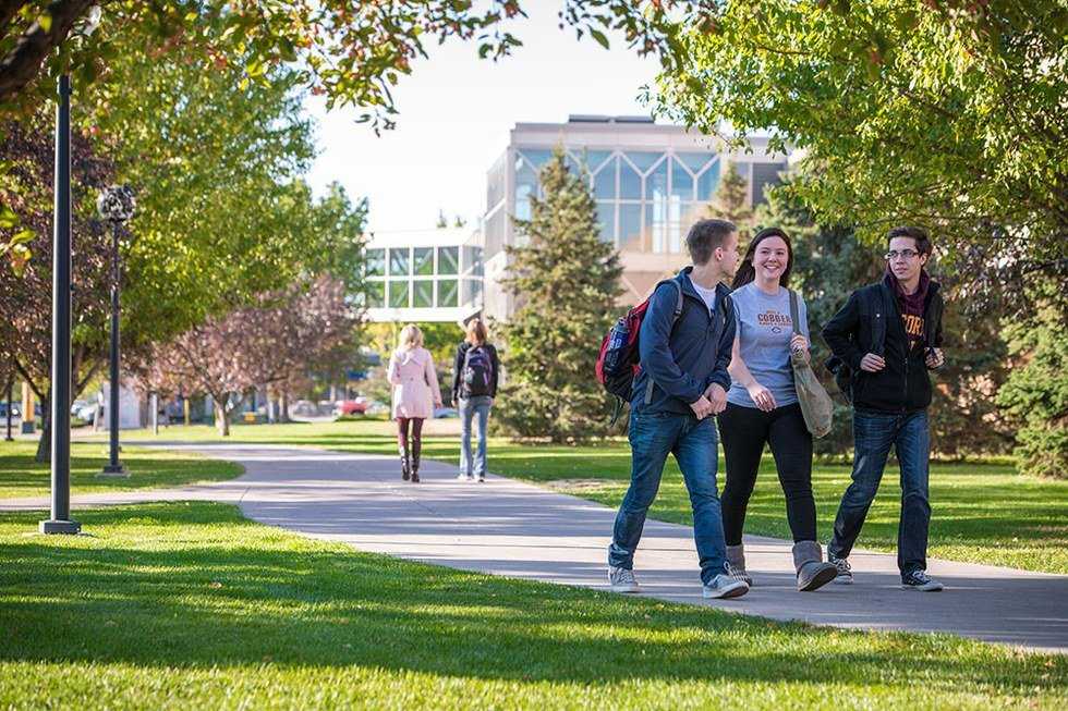 Stress-Free Semesters: Who Knew It Was So Easy?
