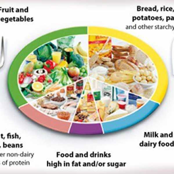 10 Reasons Why No Diet Is The Best Diet