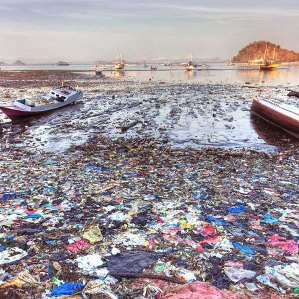 One Big Plastic Water Bottle: Where Did The Ocean Go?