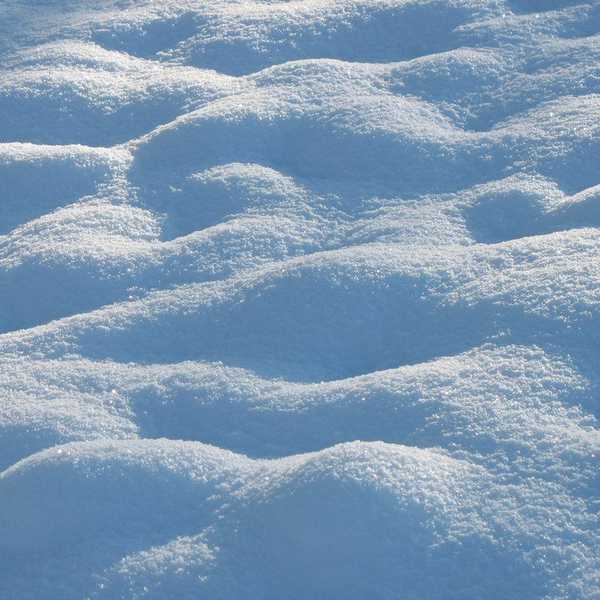 Surviving The Latest Snow Storm