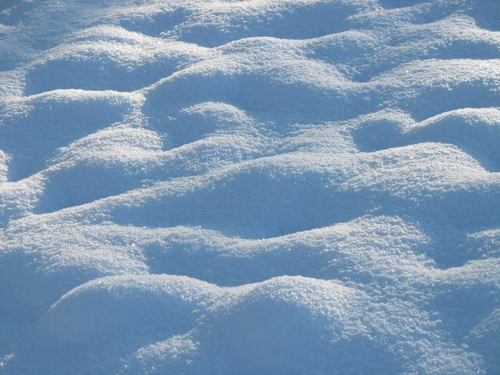 Surviving The Latest Snow Storm