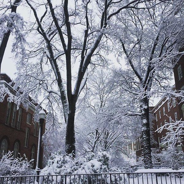 The Best And Worst Parts Of Having A Snow Day