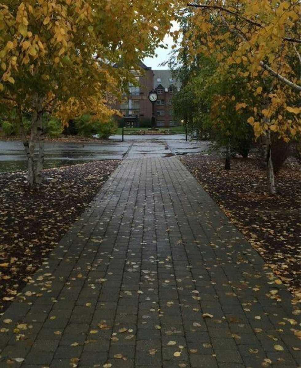 Where Do The Colgate Students Go To Hide Away? | The Odyssey Online