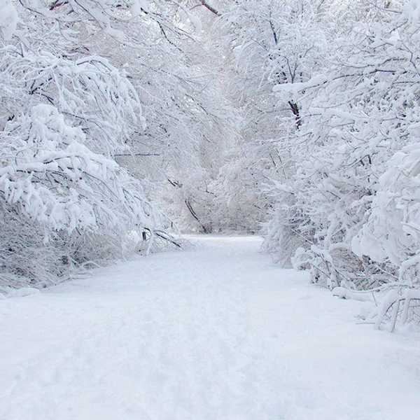 5 Thoughts Everyone Has When Expecting Snow