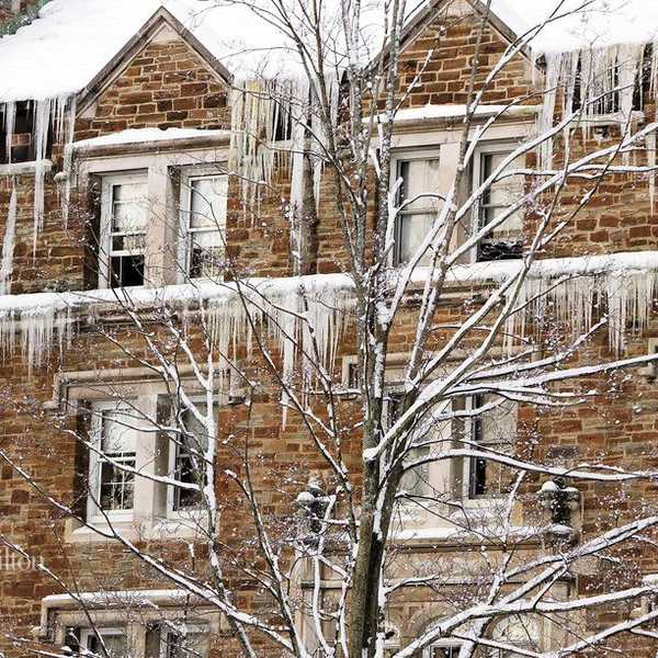 The 4 Types Of People You Encounter In The Winter