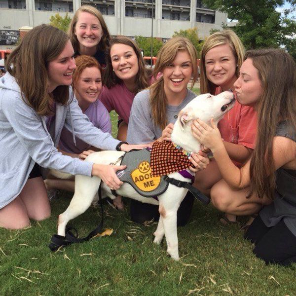 100 Things Every College Girl Needs To Know