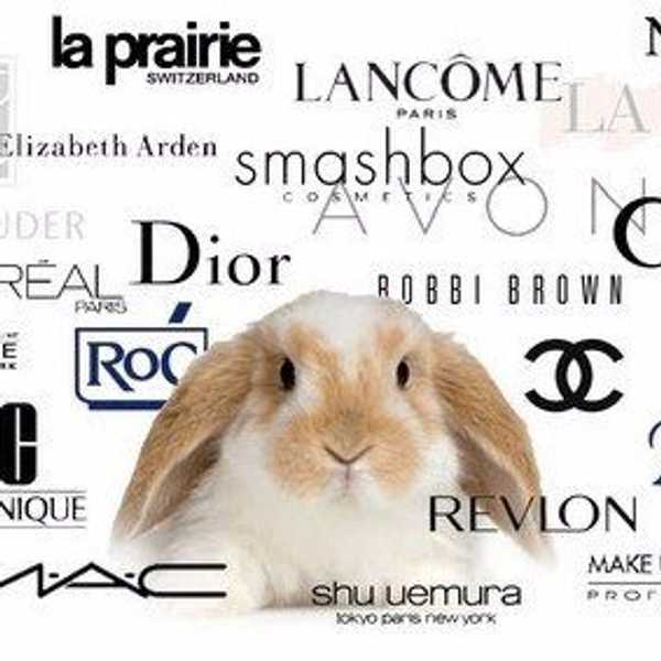 Which Makeup Companies Do Or Don't Test On Animals?