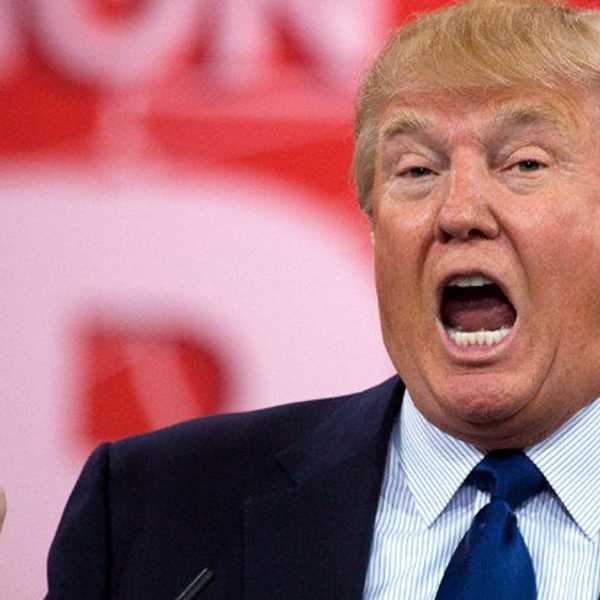 How To Vote For Donald Trump: