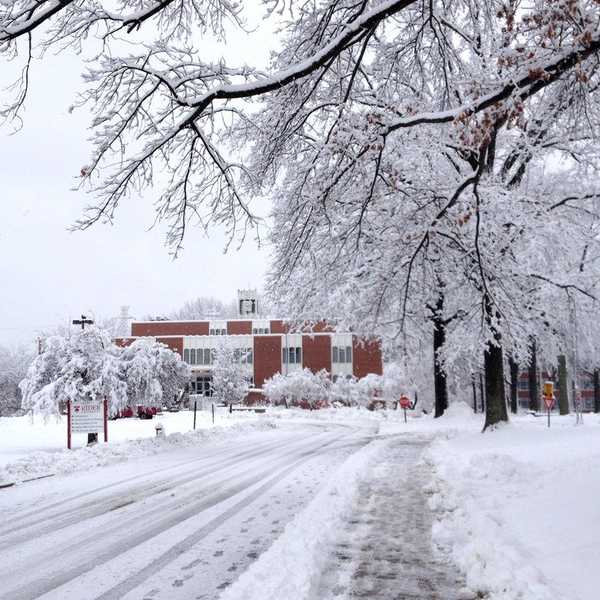 Winter Wonderland Survival Guide