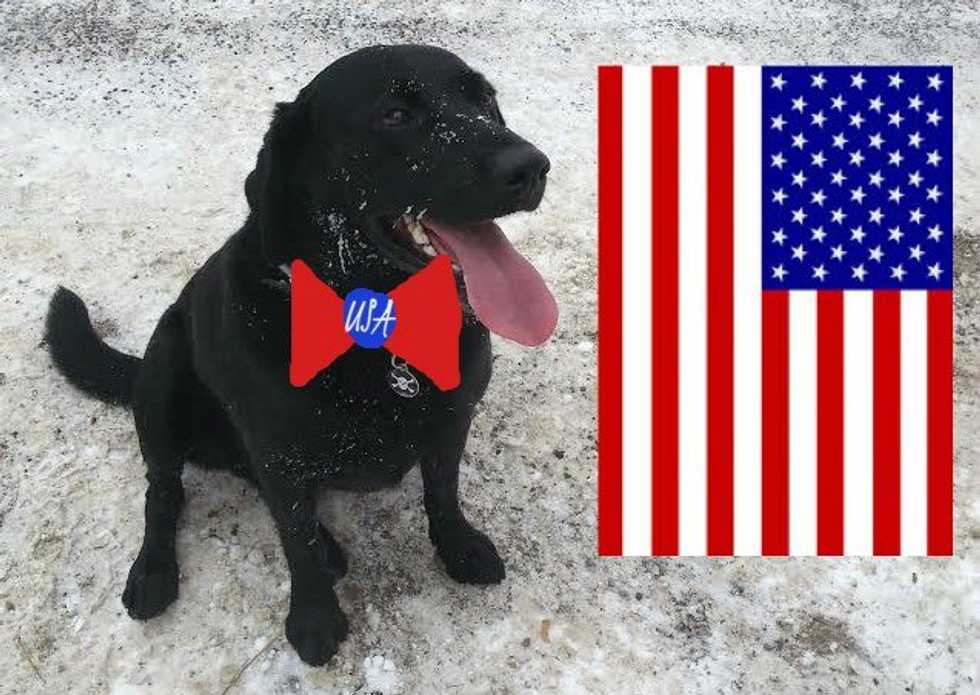 11 Animals In Bow Ties That Would Make Better Presidents Than Donald Trump