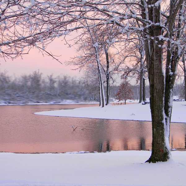 Why Winter Is My Least Favorite Season
