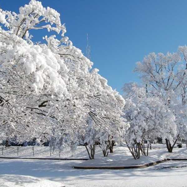 How To Prepare For The Cold Winter Ahead