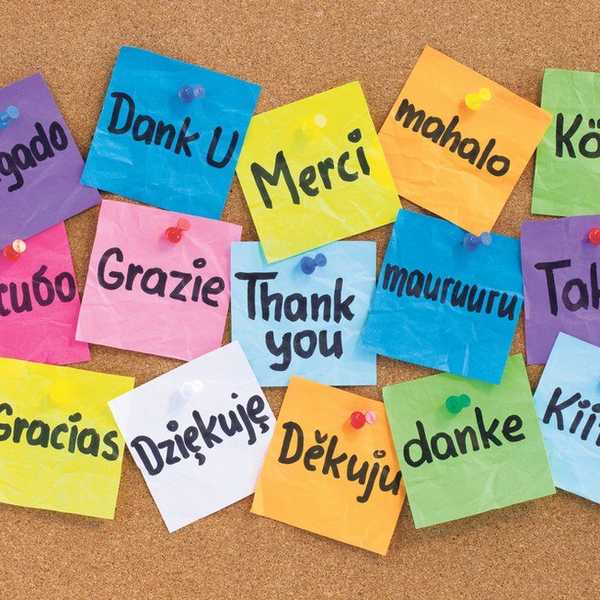 “Do You Even Know How Smart I Am In Spanish?”